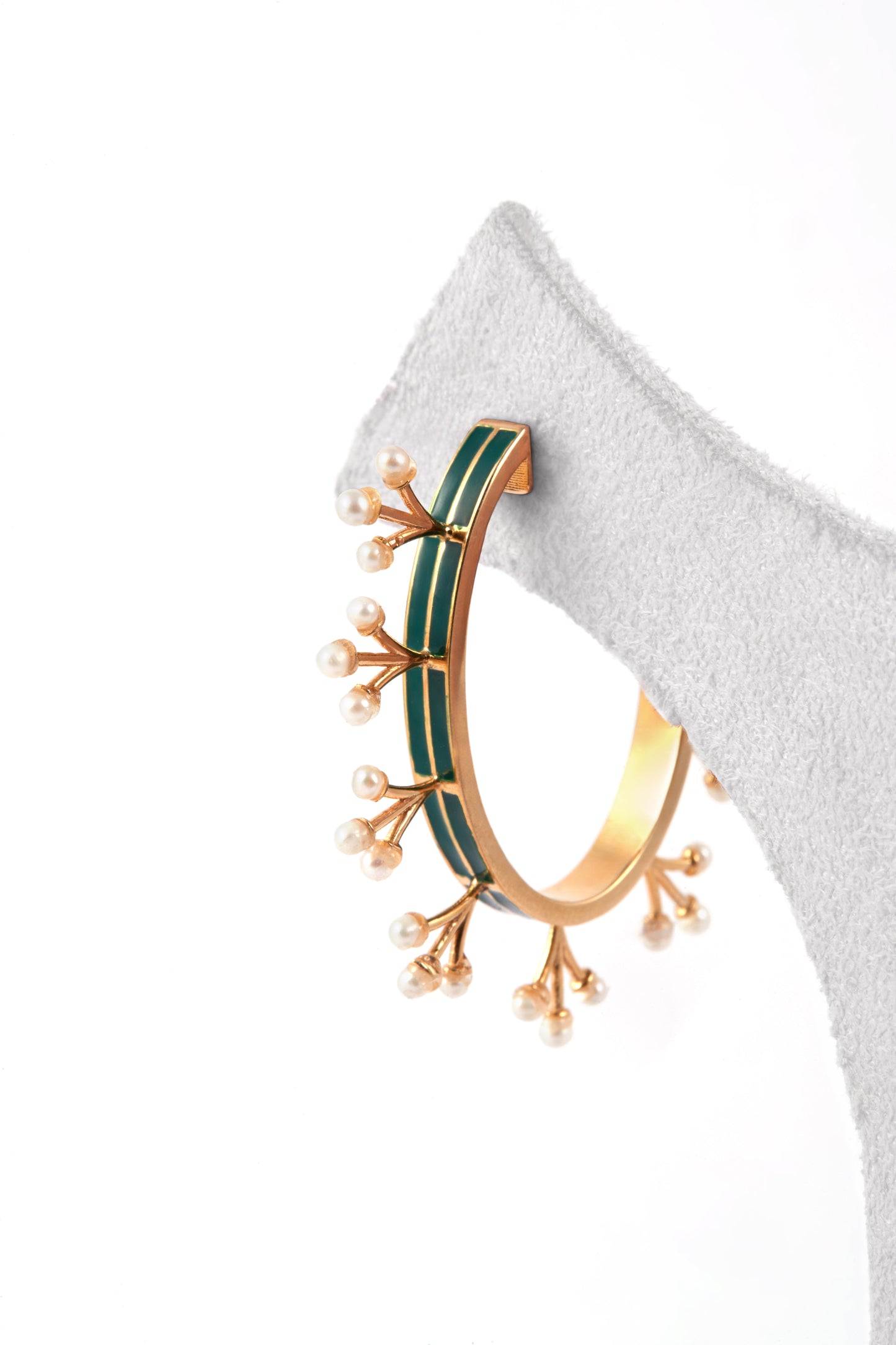 Branch Hoops